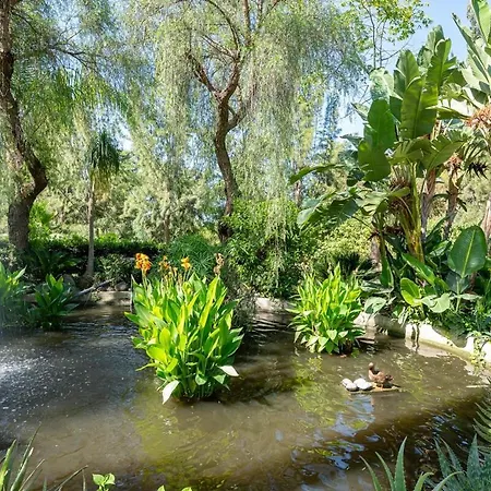 Quiet Near The Beach, With Pool And Garden Apartment